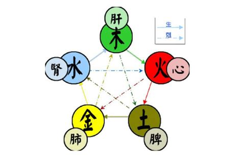 火土 五行|五行（对万事万物的取象比类）